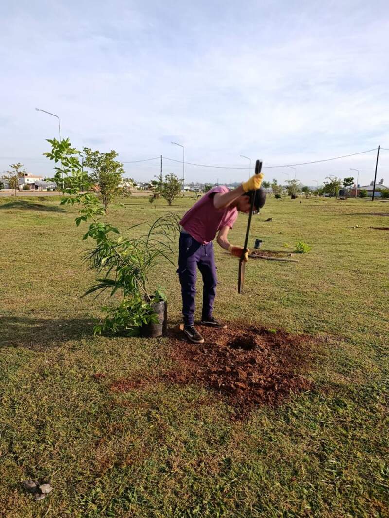 Plantaron 725 ejemplares arbóreos autóctonos en Itaembé Guazú imagen-4