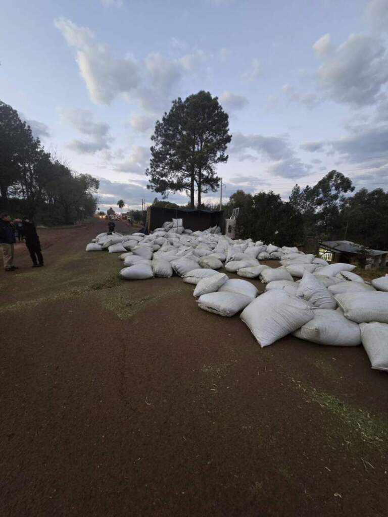 Colisión fatal en la ruta provincial 4 dejó un fallecido imagen-21
