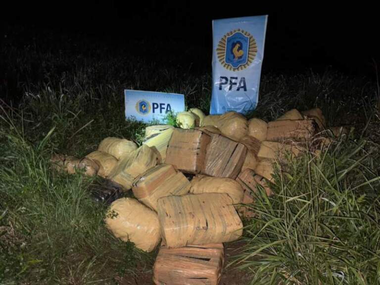 La Policía Federal secuestró más de una tonelada de marihuana en Puerto Esperanza imagen-12