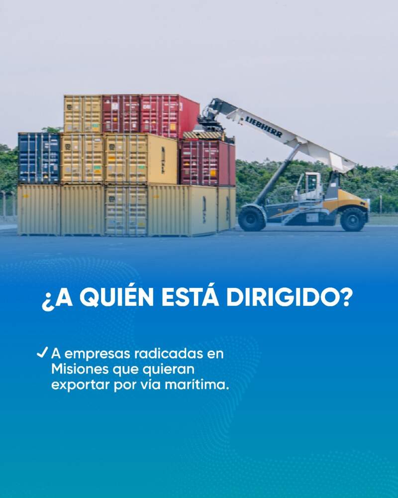 Impulso a las exportaciones misioneras: continúa vigente el programa provincial para pymes con perfil internacional imagen-4