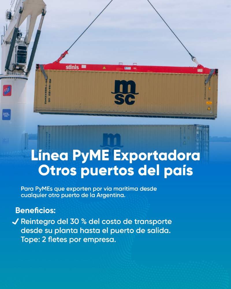 Impulso a las exportaciones misioneras: continúa vigente el programa provincial para pymes con perfil internacional imagen-8