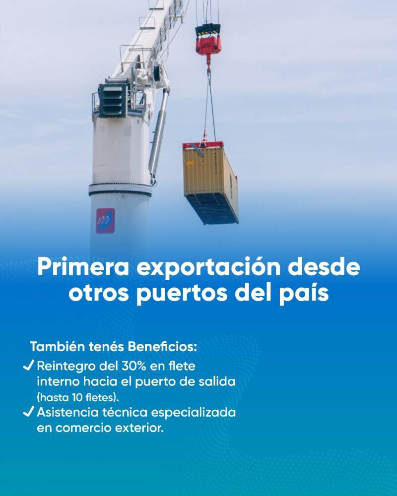 Impulso a las exportaciones misioneras: continúa vigente el programa provincial para pymes con perfil internacional imagen-12