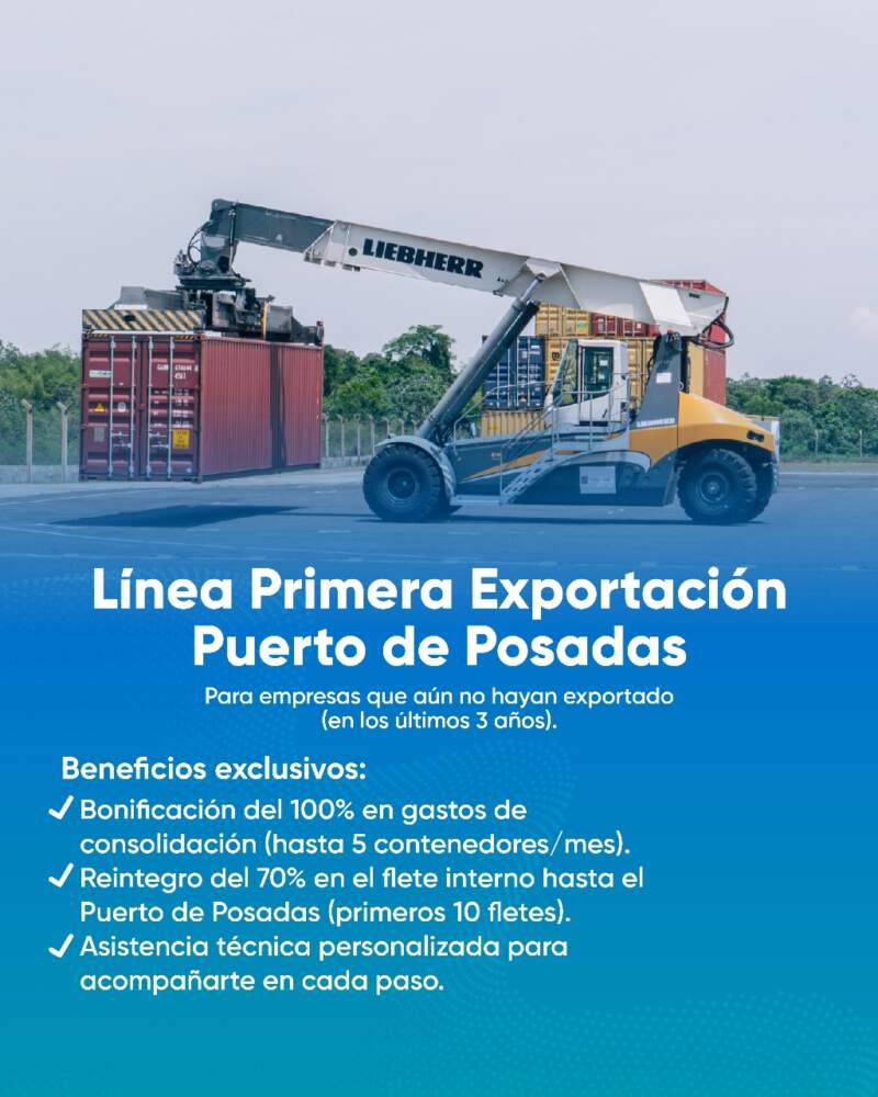 Impulso a las exportaciones misioneras: continúa vigente el programa provincial para pymes con perfil internacional imagen-10