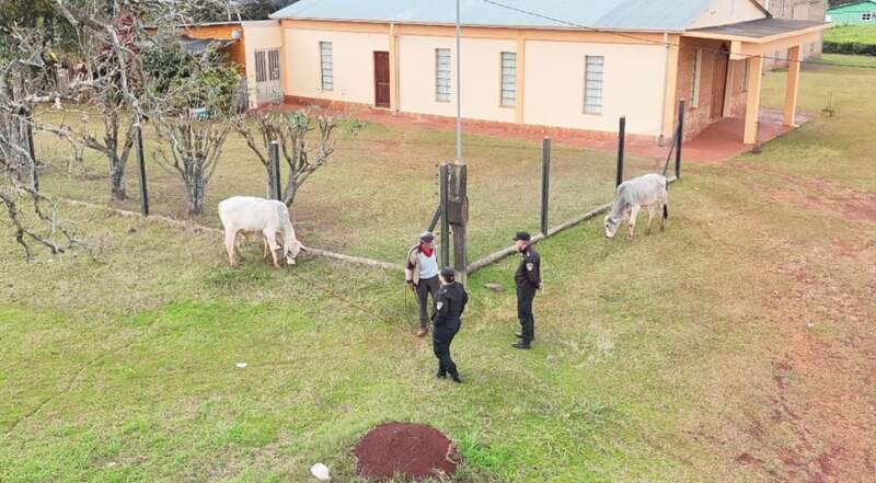 En Operativo Rural acompañan a los colonos de Campo Ramón 5 En Operativo Rural acompañan a los colonos de Campo Ramón imagen-4