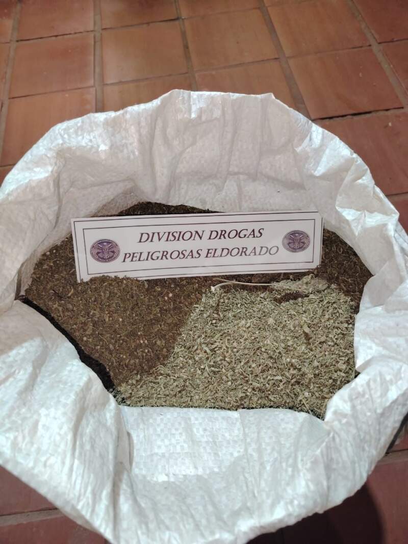 La Policía secuestró media tonelada de marihuana a orillas del río Paraná imagen-8