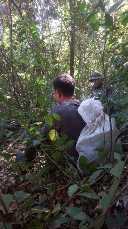 Guardaparques desmantelaron campamentos ilegales durante un patrullaje en Salto Encantado imagen-9