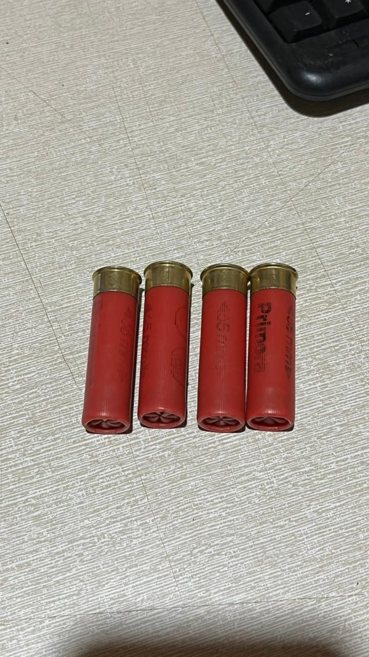 Guardaparques desmantelaron campamentos ilegales durante un patrullaje en Salto Encantado 3 Guardaparques desmantelaron campamentos ilegales durante un patrullaje en Salto Encantado imagen-2