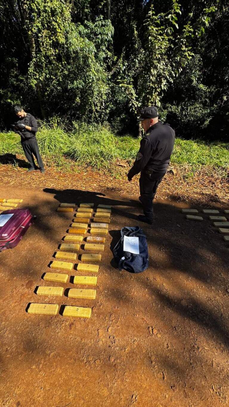 Operativo antidrogas en Gobernador Roca: más de 100 kilos de marihuana incautados imagen-30