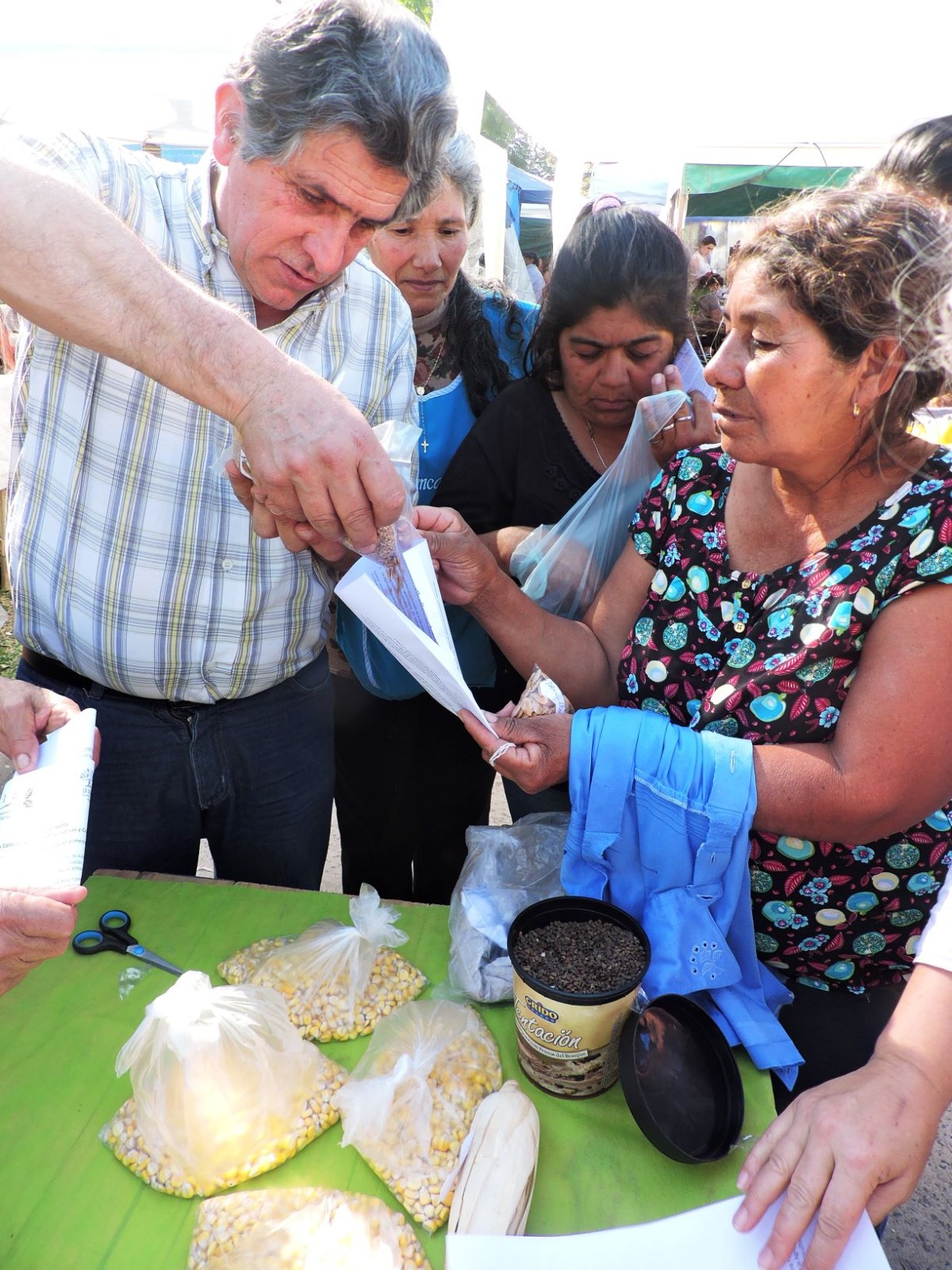 Convocan a Ferias Zonales de Semillas Nativas y Criollas imagen-6