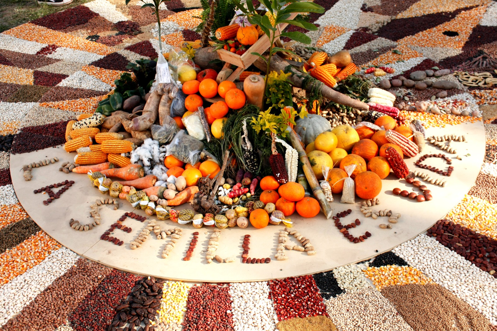 Convocan a Ferias Zonales de Semillas Nativas y Criollas imagen-2
