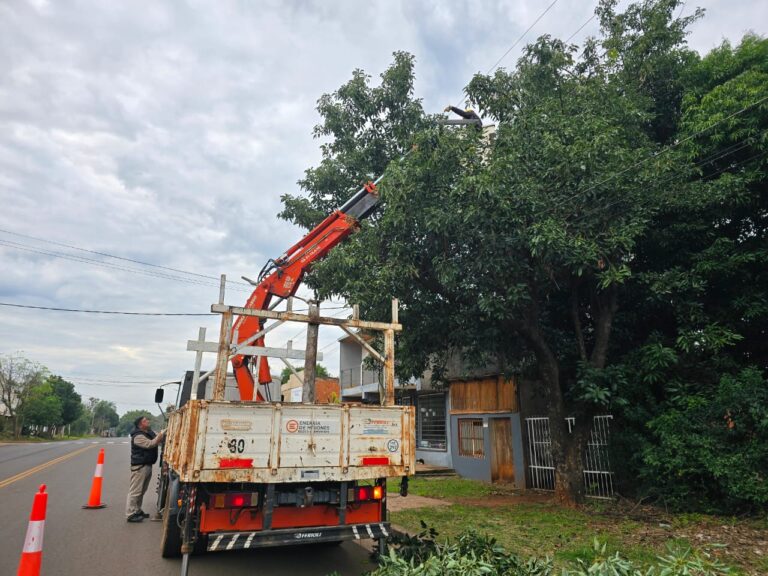 Energía de Misiones avanza con tareas de despeje y reemplazo de postes en Posadas imagen-4