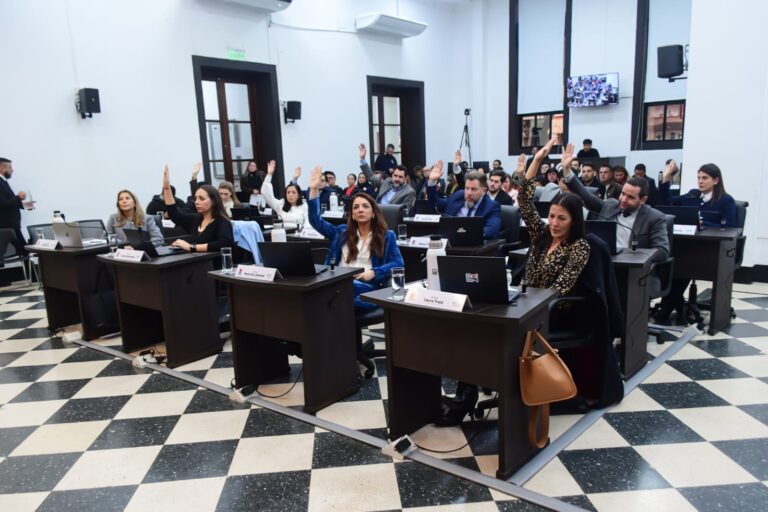 Balance legislativo del HCD: entre el debate político y la participación ciudadana imagen-18