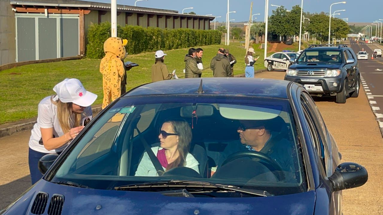 Misiones refuerza la protección de los animales silvestres con la campaña de concientización vial “Yo Freno Por La Fauna” imagen-14