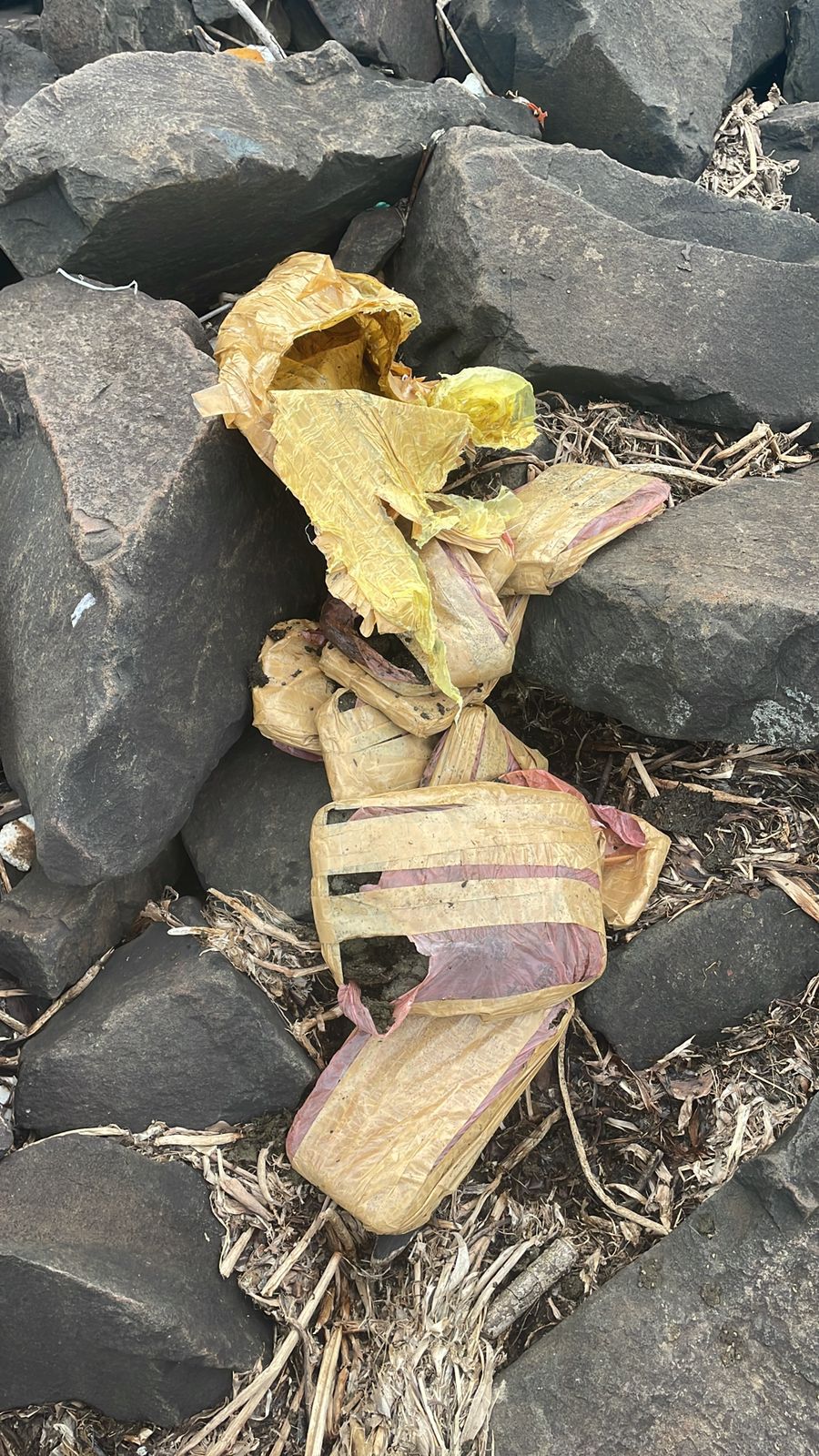 Hallaron cargamento de droga en zona costera de Posadas 5 Hallaron cargamento de droga en zona costera de Posadas imagen-4