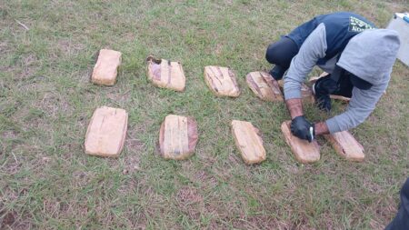 Hallaron cargamento de droga en zona costera de Posadas imagen-6