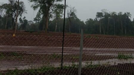 Tras una inspección ambiental, detienen obras del kartódromo en Puerto Iguazú imagen-10