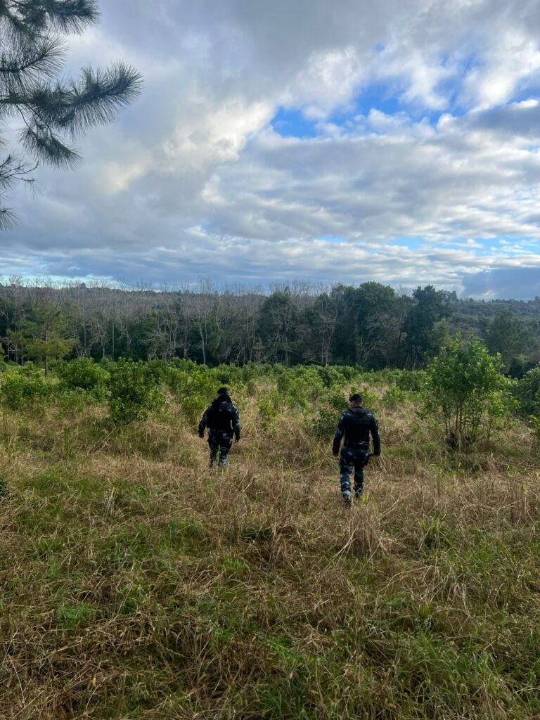 Intensa búsqueda en Oberá de Jorge José Alberto Prestes imagen-34