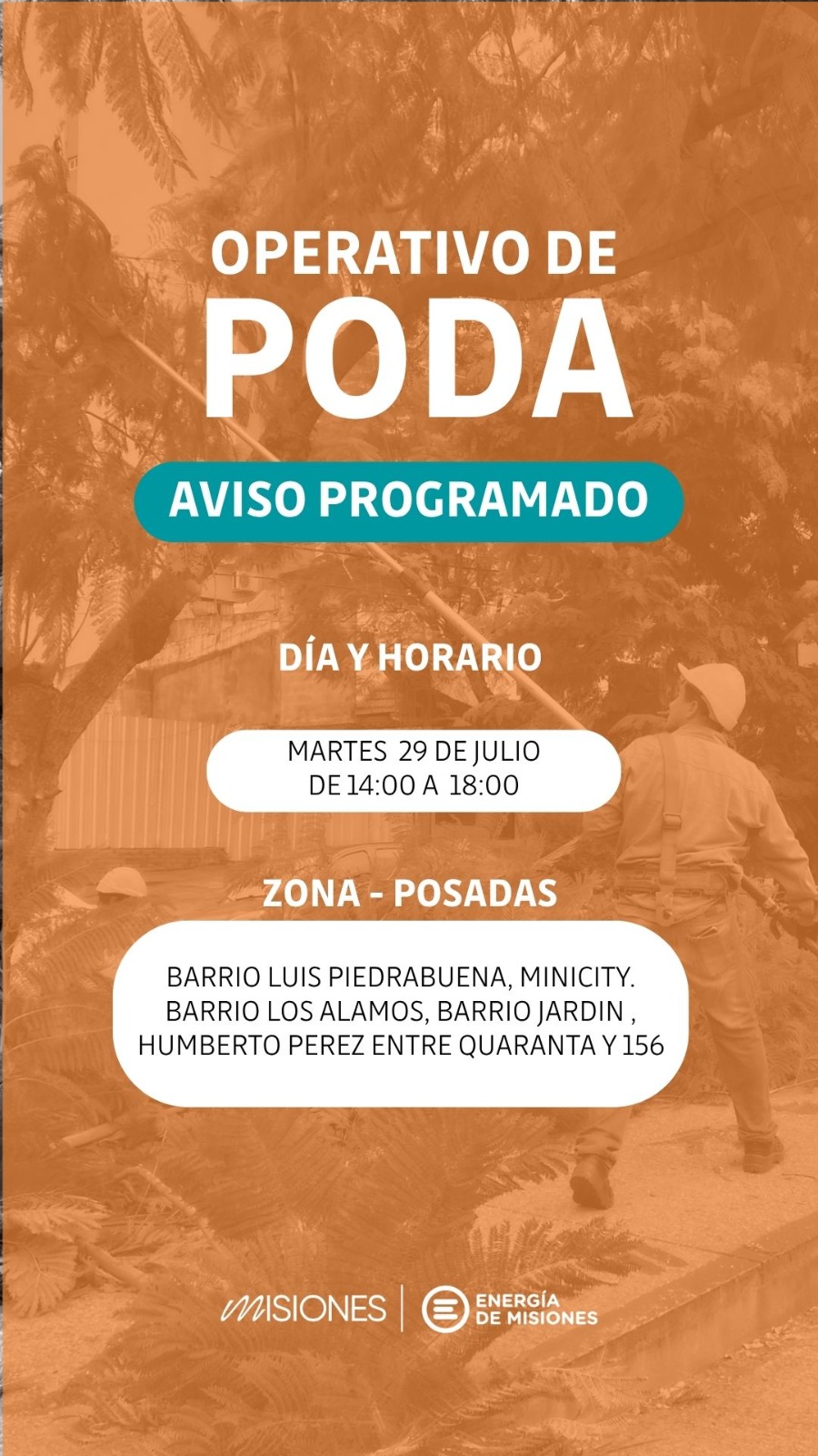 Poda y mantenimiento: avanza el operativo de despeje de líneas en barrios posadeños imagen-2