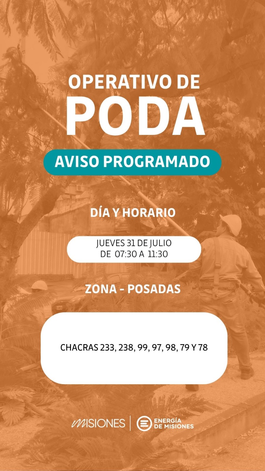 Poda y mantenimiento: avanza el operativo de despeje de líneas en barrios posadeños imagen-4