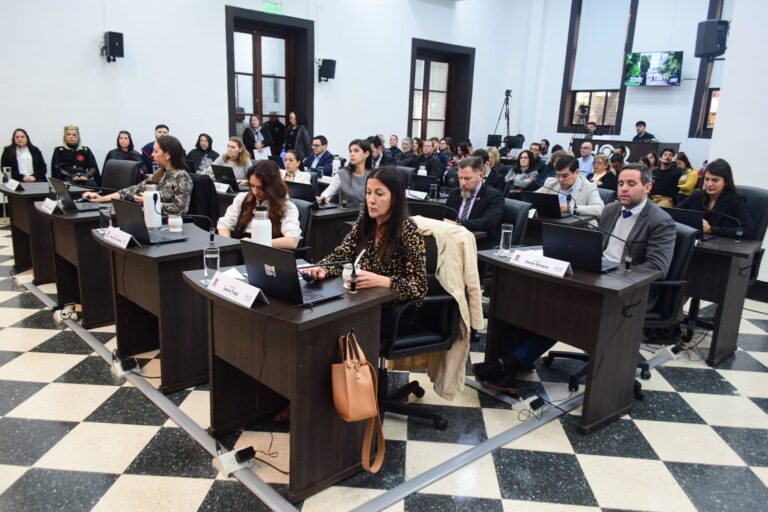 “Volvemos con una agenda cargada y con la responsabilidad de avanzar en proyectos que mejoren la calidad de vida de nuestros vecinos”, dijo el Presidente del Concejo Deliberante imagen-32