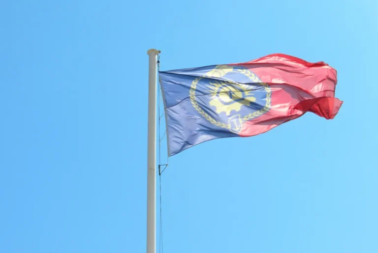 “Me pone muy contenta que la ciudad tenga su identidad”, dijo la creadora de la Bandera de Posadas imagen-27