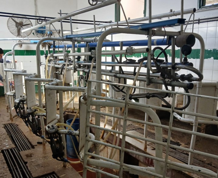 El Gobierno Nacional impulsa la capacitación en producción agropecuaria en las cárceles de todo el país imagen-4