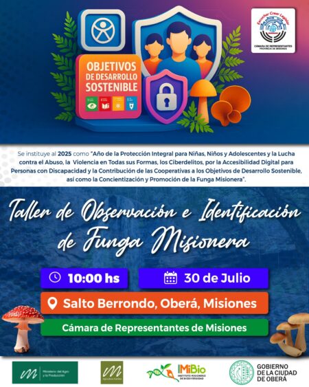 La Legislatura propone actividades abiertas para conocer y valorar la funga misionera imagen-4