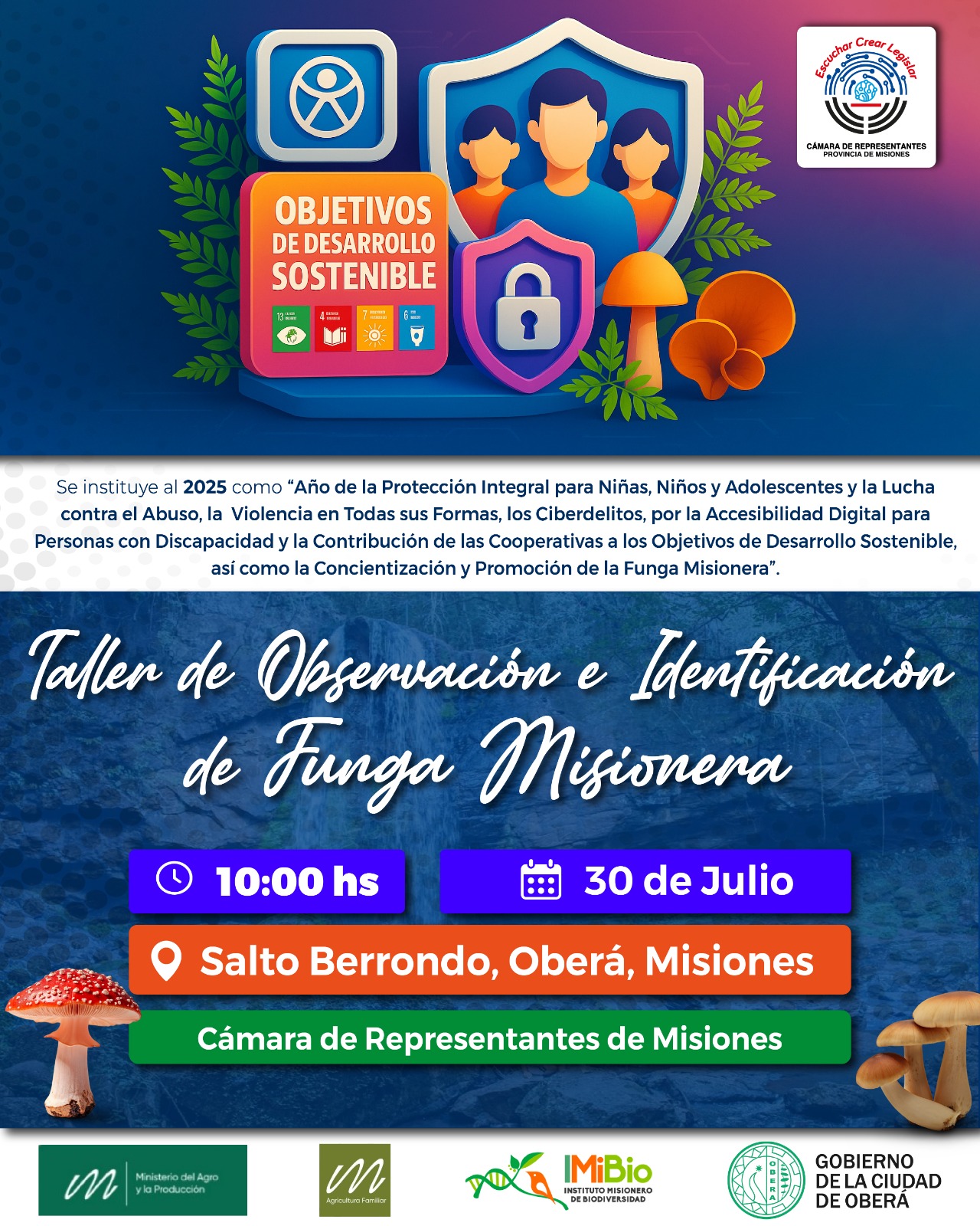 La Legislatura propone actividades abiertas para conocer y valorar la funga misionera La Legislatura propone actividades abiertas para conocer y valorar la funga misionera imagen-1