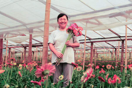 La floricultura misionera accede por primera vez a créditos especiales para potenciar su desarrollo La floricultura misionera accede por primera vez a créditos especiales para potenciar su desarrollo imagen-1