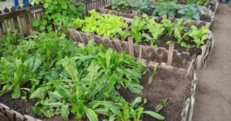 El Gobierno Nacional impulsa la capacitación en producción agropecuaria en las cárceles de todo el país imagen-10