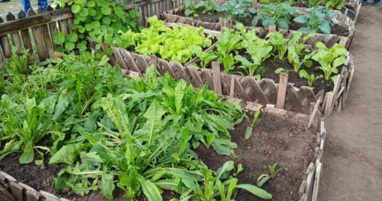 El Gobierno Nacional impulsa la capacitación en producción agropecuaria en las cárceles de todo el país imagen-27