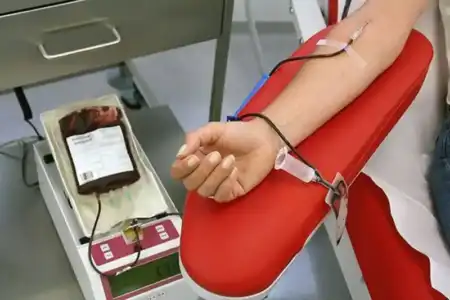 Julio solidario: habrá jornadas de donación de sangre en Posadas, Aristóbulo del Valle, 25 de Mayo y San Pedro Julio solidario: habrá jornadas de donación de sangre en Posadas, Aristóbulo del Valle, 25 de Mayo y San Pedro imagen-10