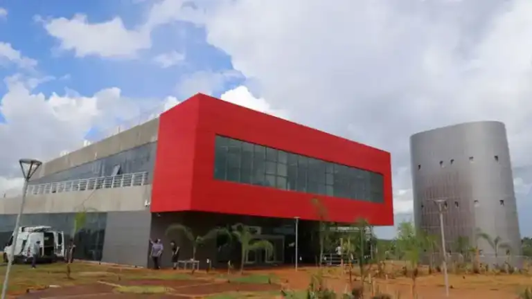 TDI presenta AmplifAI: la empresa instalada en Silicon Misiones impulsada con IA como solución tecnológica para empresas imagen-27