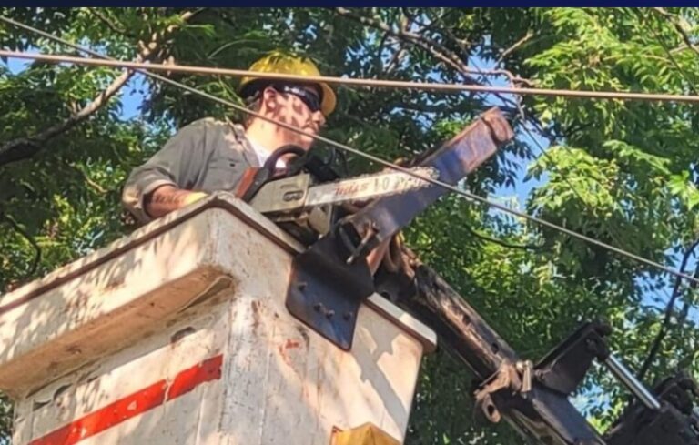 Poda y mantenimiento: avanza el operativo de despeje de líneas en barrios posadeños imagen-35