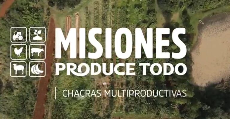 La Semana Periodística: Salud y producción a la misionera, la importancia de las políticas públicas imagen-26