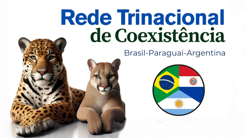 Misiones se suma a una alianza internacional clave para la conservación del yaguareté y la convivencia con la fauna silvestre imagen-2