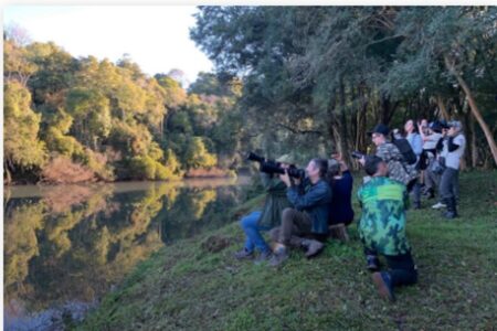 Observación de aves y educación ambiental en la Fiesta Colonial de Ruiz de Montoya imagen-8