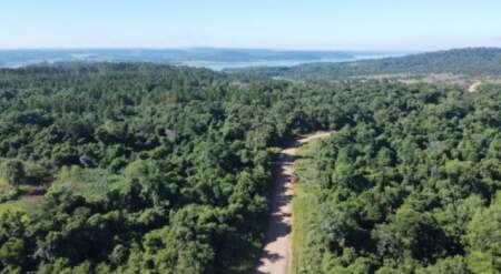 Desmonte en Teyú Cuaré: Ecología dice que ya hay un sumario administrativo en marcha y ordenó verificar que no remuevan nuevamente el lugar imagen-3