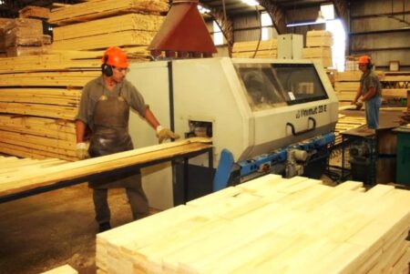 Autorizan acceso a la capacidad de transporte de energía eléctrica en empresa maderera misionera imagen-7