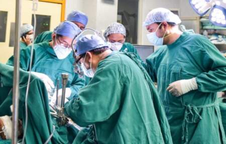 Día Provincial del Donante de Órganos: en lo que va del año se realizaron 64 trasplantes en Misiones imagen-1