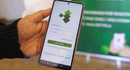 Trazabilidad de la yerba mate: cómo funciona el CeTYM y cuáles son sus beneficios para el productor imagen-9