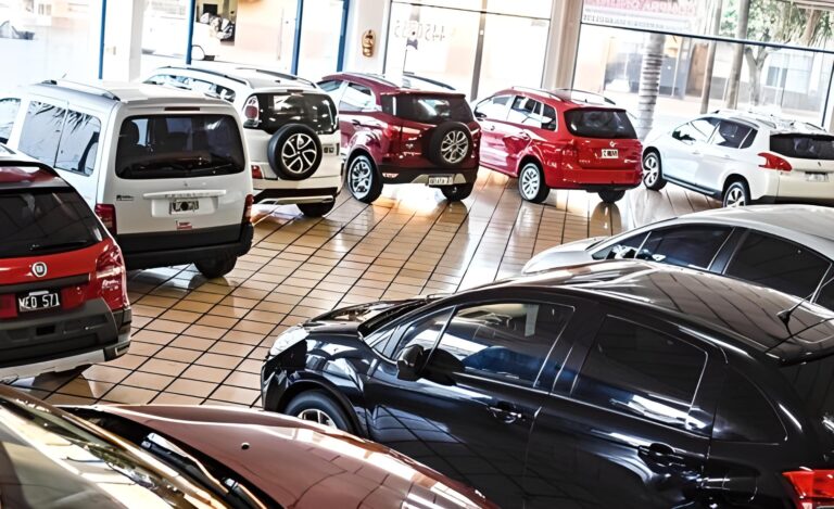 El mercado de autos en Misiones muestra una caída en las operaciones por falta de respaldo legal en el uso de divisas imagen-30