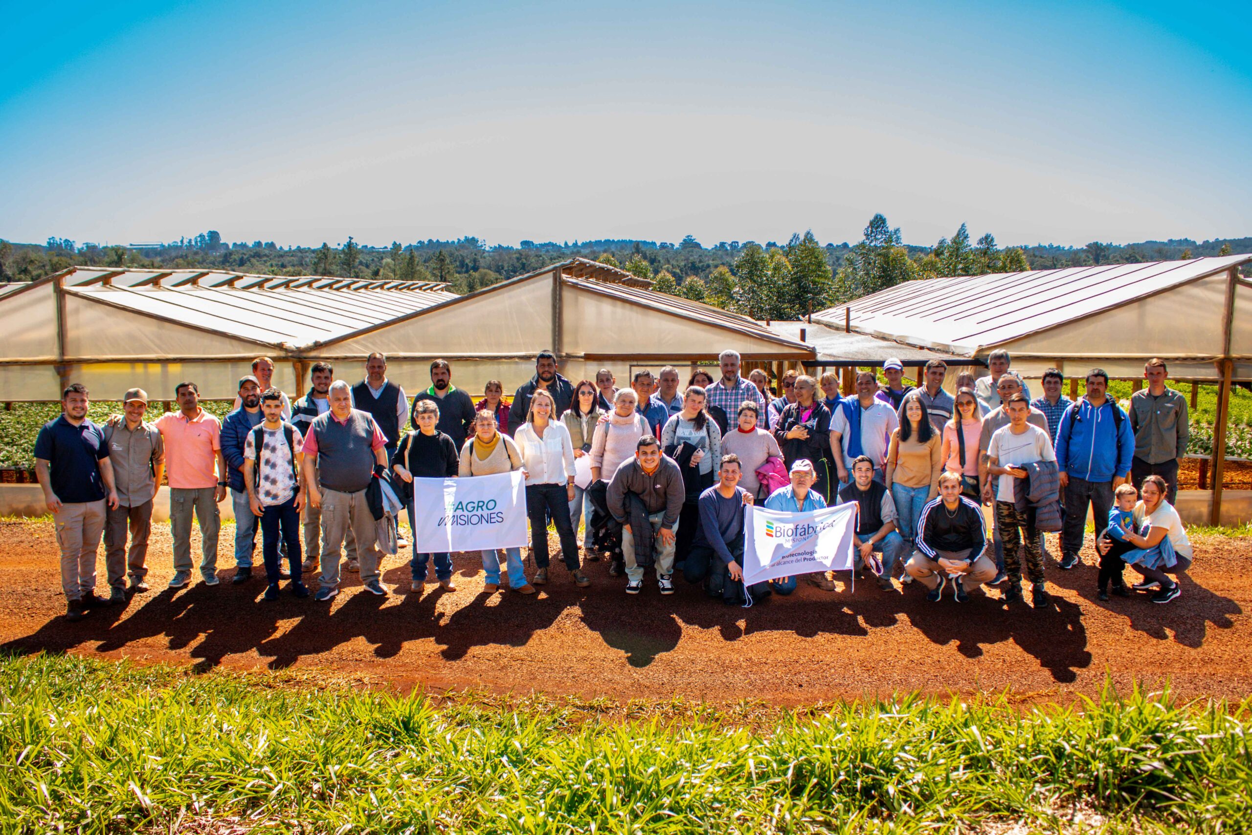 Tecnología y alto rendimiento: Biofábrica y Agro impulsan la producción de frutillas en Misiones imagen-4