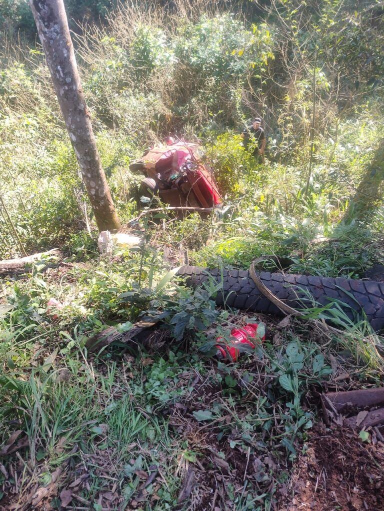 Colonia Victoria: un hombre murió en el hospital tras ser derivado por un despiste Colonia Victoria: un hombre murió en el hospital tras ser derivado por un despiste imagen-35
