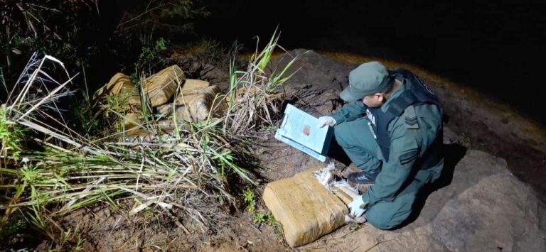 Gendarmes evitan la descarga en la costa misionera de 300 kilos de marihuana desde una embarcación Gendarmes evitan la descarga en la costa misionera de 300 kilos de marihuana desde una embarcación imagen-14
