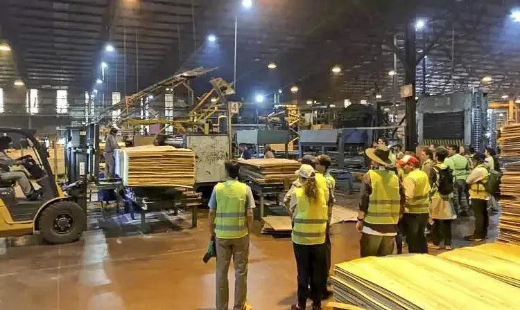 Corrientes: la Forestadora Tapebicuá anunció la paralización total de su producción por 30 días en Virasoro y suspende a 520 operarios 5 Corrientes: la Forestadora Tapebicuá anunció la paralización total de su producción por 30 días en Virasoro y suspende a 520 operarios imagen-4