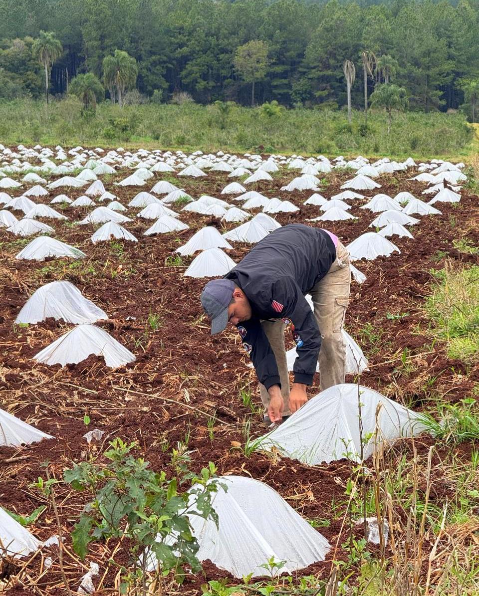 Arraigo rural: jóvenes que eligen vivir en la chacra recibieron insumos para seguir produciendo imagen-8