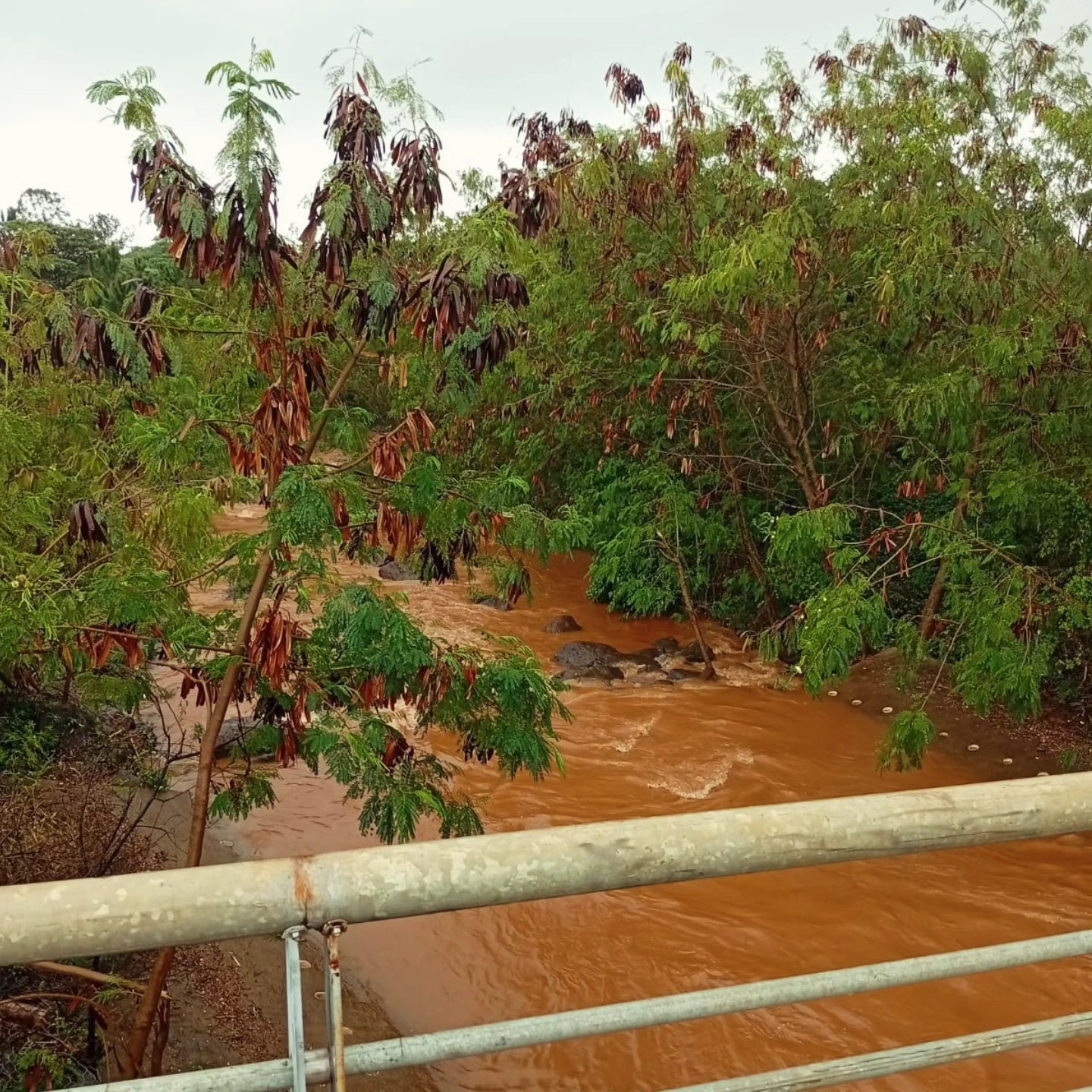 Vecinos de Itaembé Guazú piden un puente con vallas de seguridad sobre el arroyo donde dos adolescentes fueron arrastrados por las aguas 3 Vecinos de Itaembé Guazú piden un puente con vallas de seguridad sobre el arroyo donde dos adolescentes fueron arrastrados por las aguas imagen-2