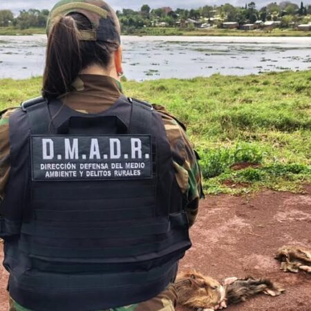 Tras el hallazgo de restos de carpinchos faenados, la Policía activó el protocolo de protección ambiental en la reserva El Zaimán, de Posadas imagen-2