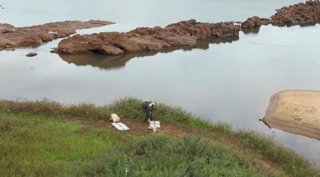 Hallan marihuana abandonada en la costa del arroyo Aguaray Guazú imagen-2